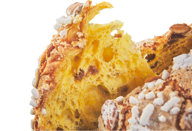 Panettone